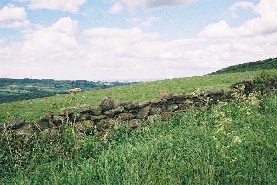 image089r.jpg