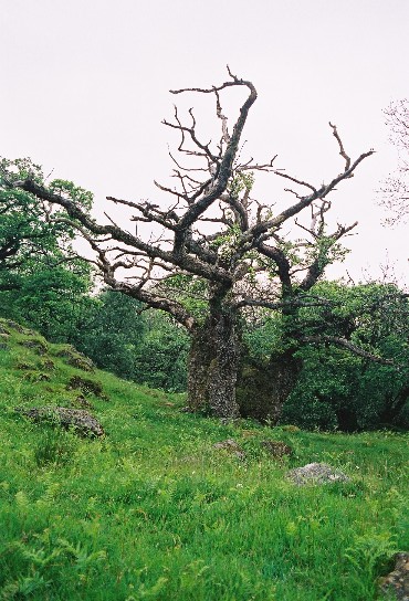 image049r.jpg