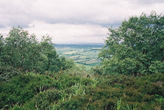 image073r.jpg