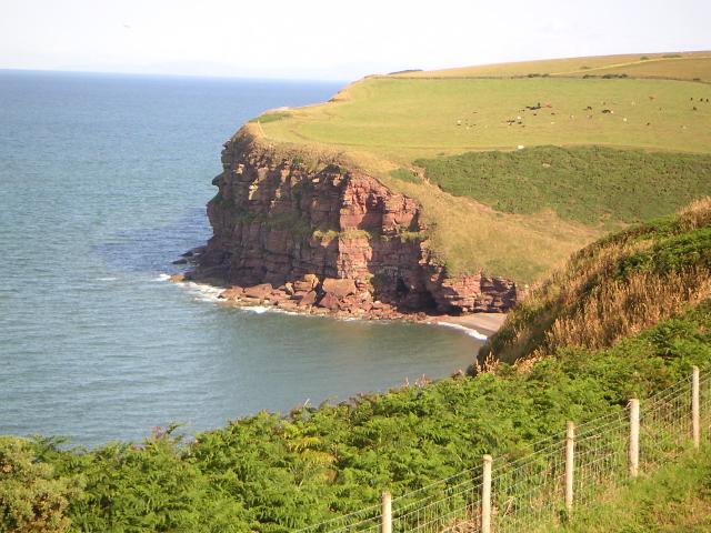 PICT0995r.jpg