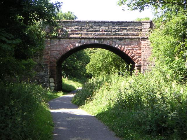 PICT1008r.jpg