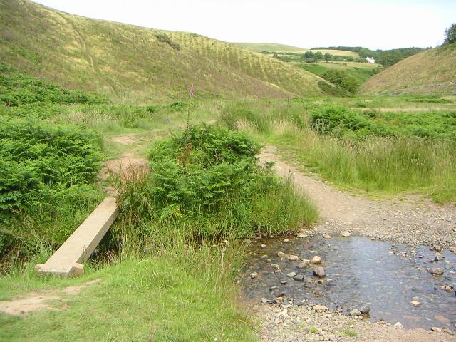 PICT1017r.jpg