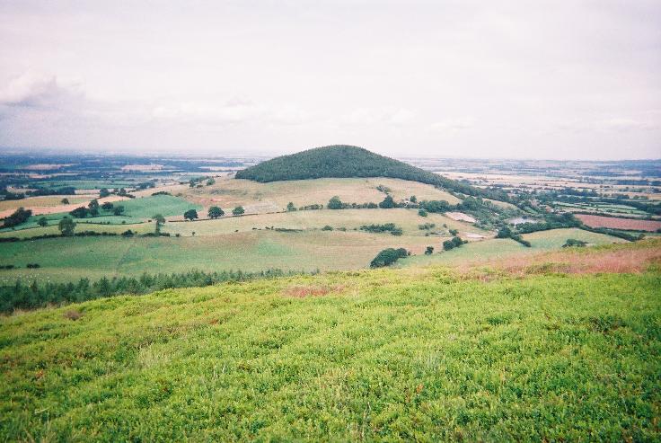01Pict1254r.jpg