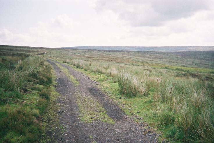03Pict1266r.jpg