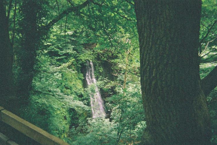 Pict1276r.jpg