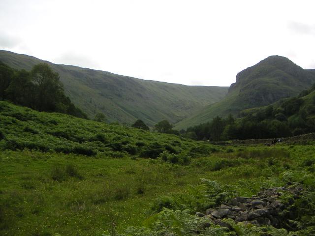 PICT1077r.jpg