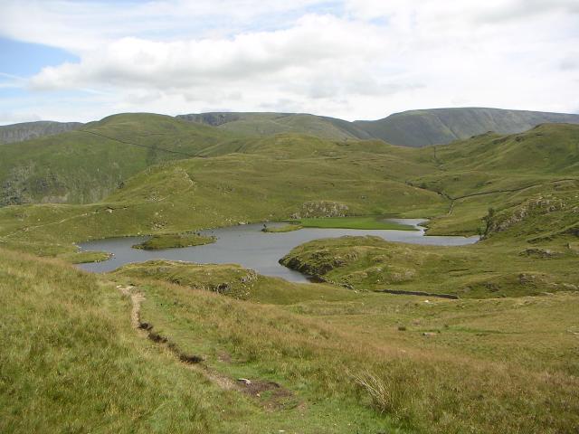 PICT1150r.jpg