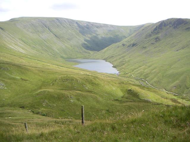 PICT1158r.jpg