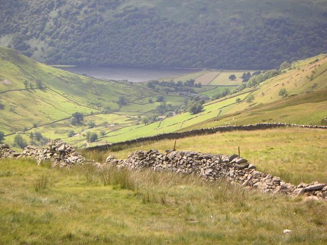 PICT1162r.jpg
