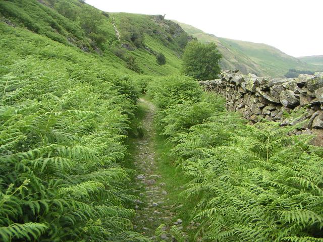 PICT1177r.jpg