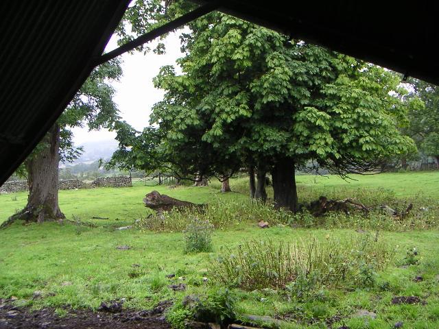 PICT1186r.jpg
