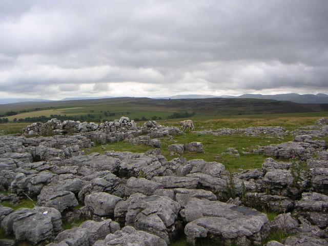 PICT1219r.jpg