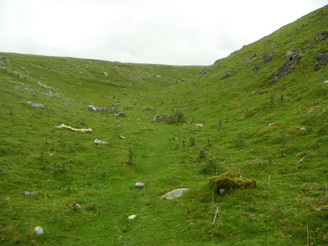 PICT1224r.jpg
