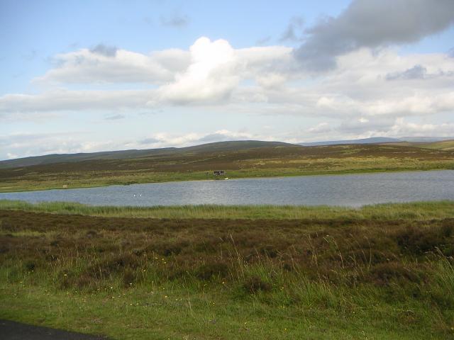 PICT1239r.jpg