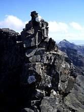 img20090104r.jpg