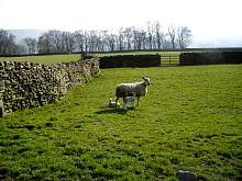 IMGP3228r86.jpg