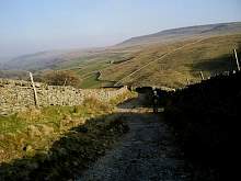 IMGP3235r86.jpg