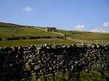 IMGP3236r86.jpg