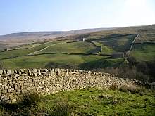 IMGP3237r86.jpg