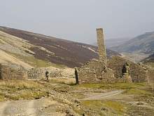IMGP3253r50.jpg