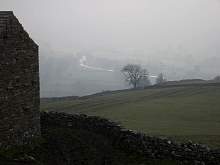JIMGP3411r50.jpg