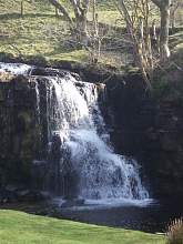 JIMGP3415r50.jpg