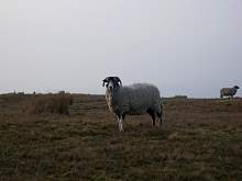 JIMGP3425r50.jpg