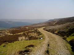 IMGP3260r50.jpg