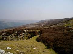 IMGP3261r50.jpg