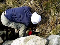 IMGP3264r50.jpg