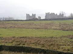 IMGP3265r50.jpg