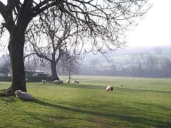JIMGP3428r50.jpg
