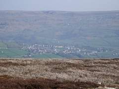 JIMGP3432r50.jpg
