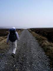 JIMGP3434r50.jpg