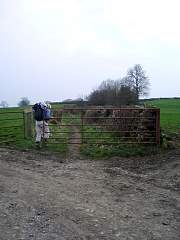 JIMGP3437r50.jpg