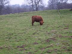 JIMGP3438r50.jpg