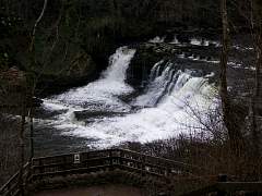 JIMGP3440r50.jpg