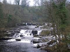 JIMGP3441r50.jpg