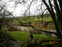 IMGP3281r50.jpg