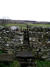 IMGP3286r50.jpg