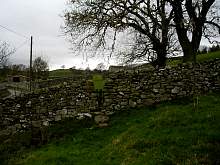 IMGP3288r50.jpg