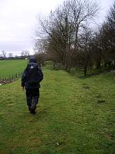 JIMGP3447r50.jpg