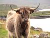 skye0039.jpg