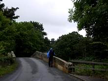 10JIMGP6240.jpg