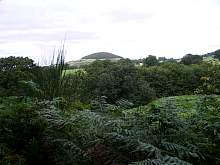 17JIMGP6339.jpg
