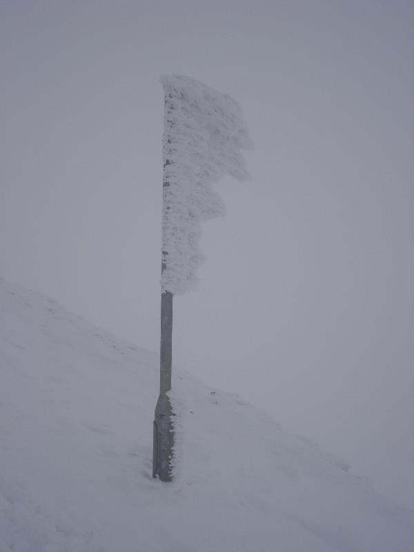 img20100017.jpg