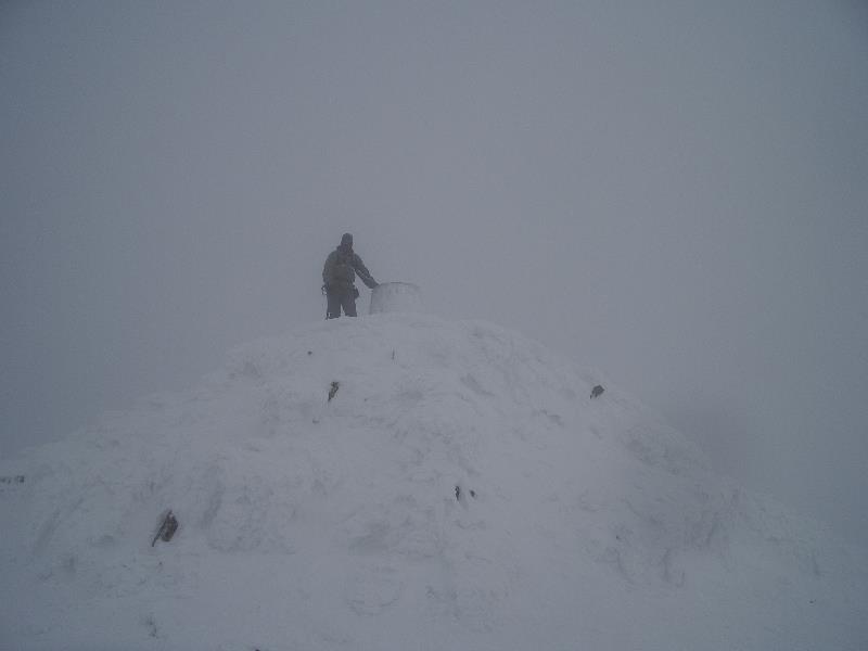 img20100018.jpg