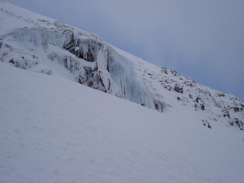 img20100021.jpg