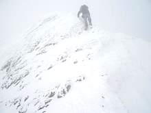 img20100005.jpg